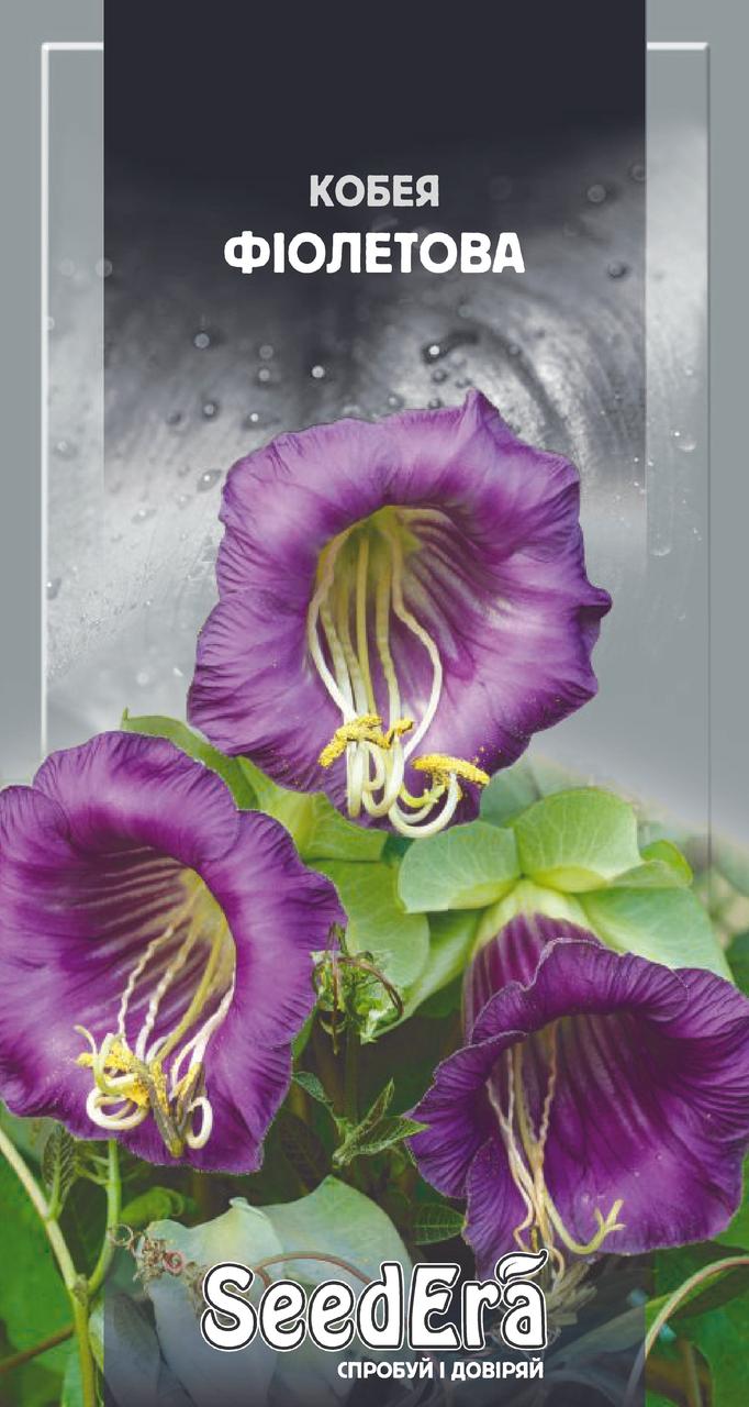Купить Кобея фиолетовая 0.25 г SeedEra (однолет.), цена 10 грн — Prom ...