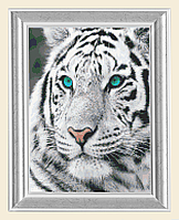 Алмазна Мозаїка на підрамнику. Набір алмазної вишивки на підрамнику "Білий тигр". Розмір 40*50 см.