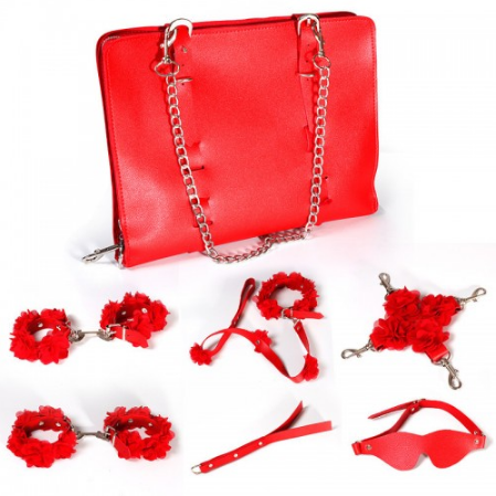 Фетиш сумка c БДСМ девайсами, Бондажний набір бдсм, Інтимні іграшки для жінок, фото 1