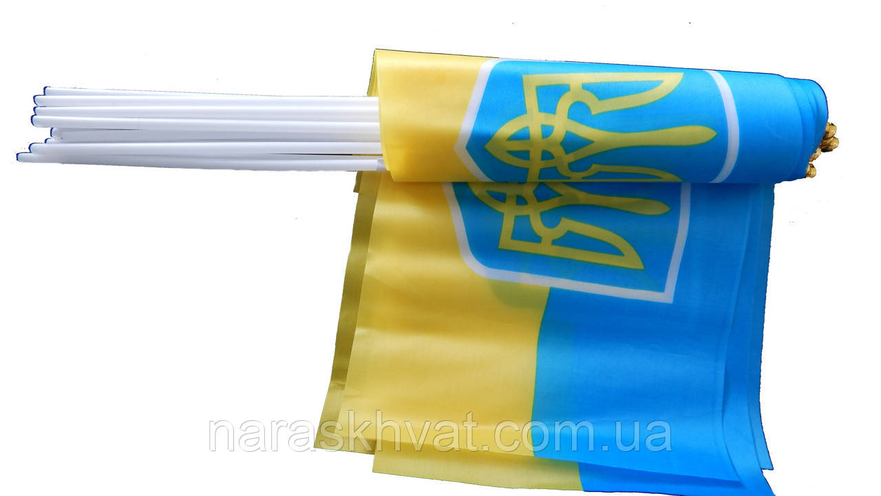 Флаг Украины 30*20 см - фото 1 - id-p1545203043