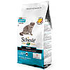 Schesir(Шезир) Cat Adult Fish-сухий монопротеиновый корм для котів 1.5 кг, фото 3