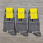 Шкарпетки дитячі спортивні високі весна/осінь р.22 смужка сірі CAPITANO 30033736, фото 5