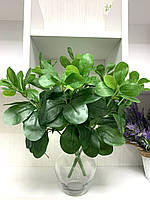 Искусственное растение - фикус Пумиля . Куст для декора ( латекс 37 см )