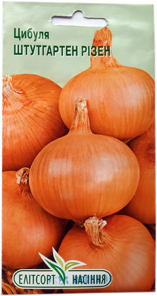 Насіння цибулі Штутгартен Різен 2 г ріпчастий, фото 1