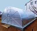 Теплиця Ельдорадо 4х8 під полікарбонат 6 мм стандарт (оцинкована труба 25х25 крок 1 метр), фото 4