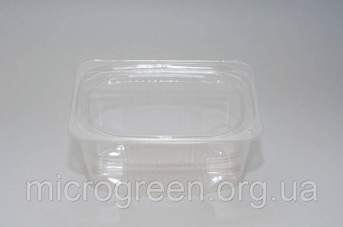 Лоток с крышкой для срезанной зелени и цветов обьём 1л (ID#1365660389 ...