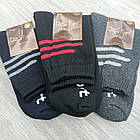Шкарпетки чоловічі махрові (зима) СПОРТ, середні, Добра пара, р27-29, темне асорті, 20029050, фото 2