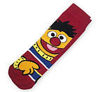 Шкарпетки високі весна/осінь Neseli Coraplar Daily Sesame Street Edi 7288 Туреччина one size (37-43р) 20034665, фото 5