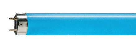 Лампа люмінесцентна Philips TL-D Colored 18W Blue 1SL/25