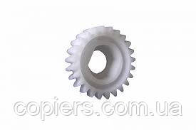 Шестерня 24T Conveyance Idler Gear - Left Bizhub c6501 c6000 c65hc, оригинал, 25AA77720