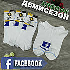 Шкарпетки короткі весна/осінь Rock'n'socks 455-27 Україна one size (37-44р) 20033699, фото 3