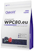 Сироватковий протеїн OstroVit — WPC80.eu (2270 грамів) forest fruit/лісові ягоди