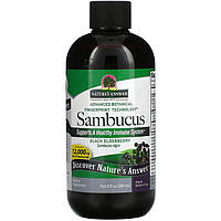 Черная бузина Nature's Answer "Sambucus Black Elderberry" 12000 мг (240 мл)