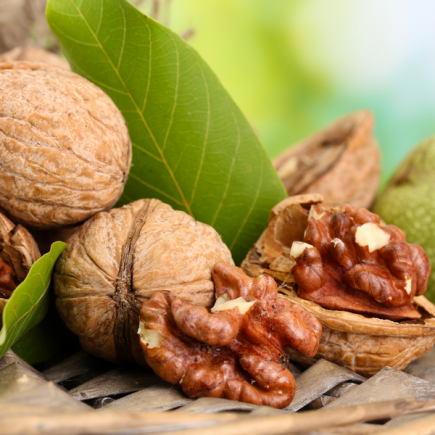 Горіх волоський Горіх волоський Великан (дворічний сінець), фото 1