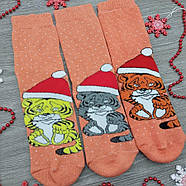 Шкарпетки жіночі махрові новорічні високі Тигр Grade1 23-25р, помаранчеві 30033357, фото 7