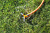 Зрошувач круговий, діаметр до 11 метрів, 0,8 м³/год, "вертушка" для поливу городу, саду, газону на ніжці "Промінь", фото 5
