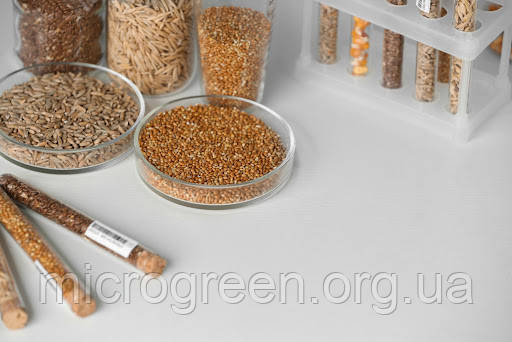 Аналіз насіння на пестициди