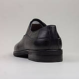 Туфлі Franco Gabbani GRF-5 М 581603 Чорні, фото 2