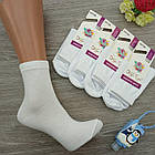 Шкарпетки дитячі високі весна/осінь бавовна білі р.16-18 (4-6) Добра Пара Україна 30032278, фото 3