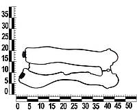 Прокладка крышки клапанной Tacuma,Lacetti,Leganza,Nubira (KAP) (90501944)
