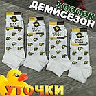 Шкарпетки короткі весна/осінь Rock'n'socks 345-28 Україна one size (37-40р) 20033774, фото 4