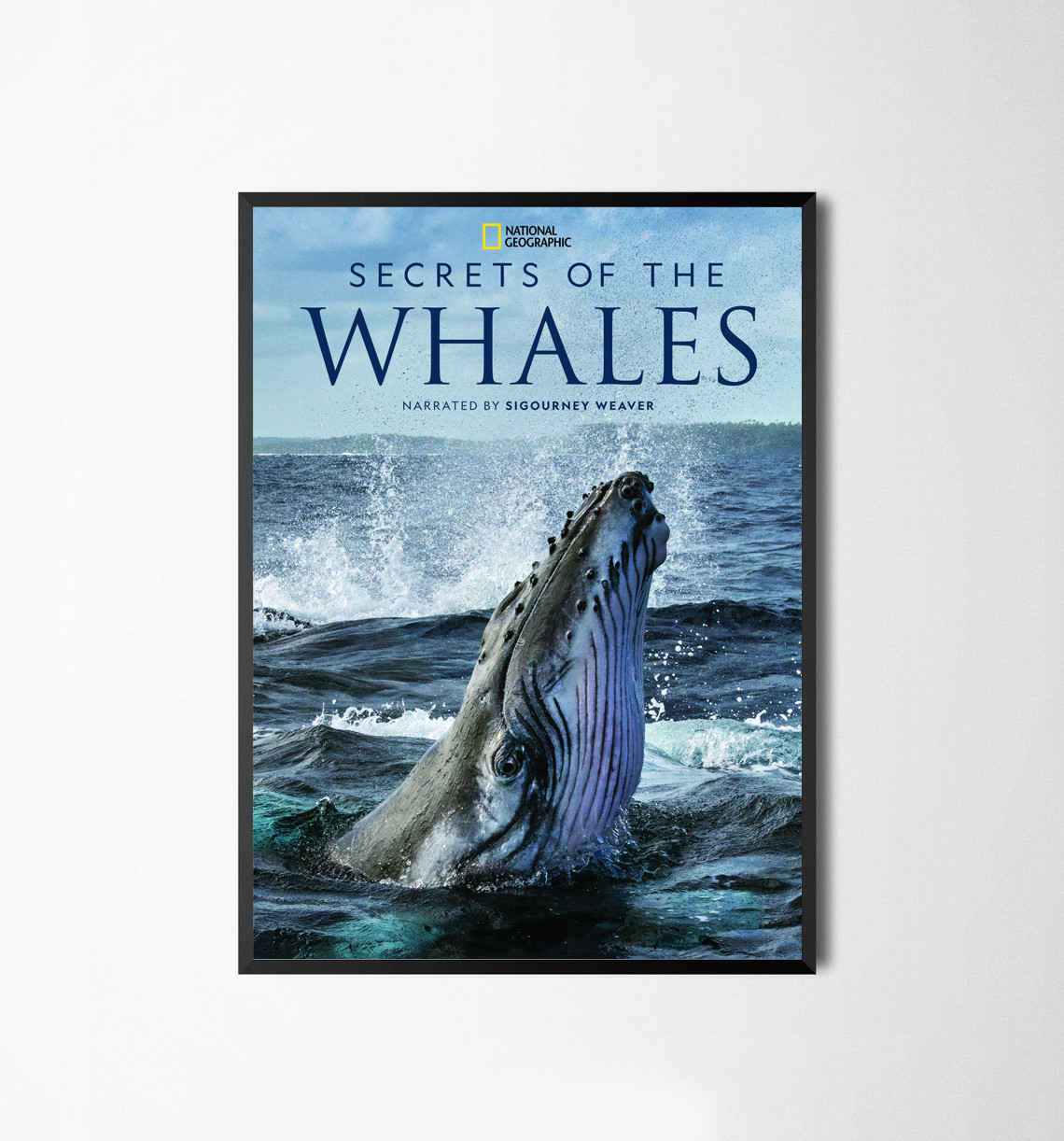 Плакат Secret of the Whales формат А3 без рам