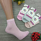 Шкарпетки дитячі високі весна/осінь бавовна однотонне асорти р. 14-16 (2-4) Добра Пара Україна 30032269, фото 3