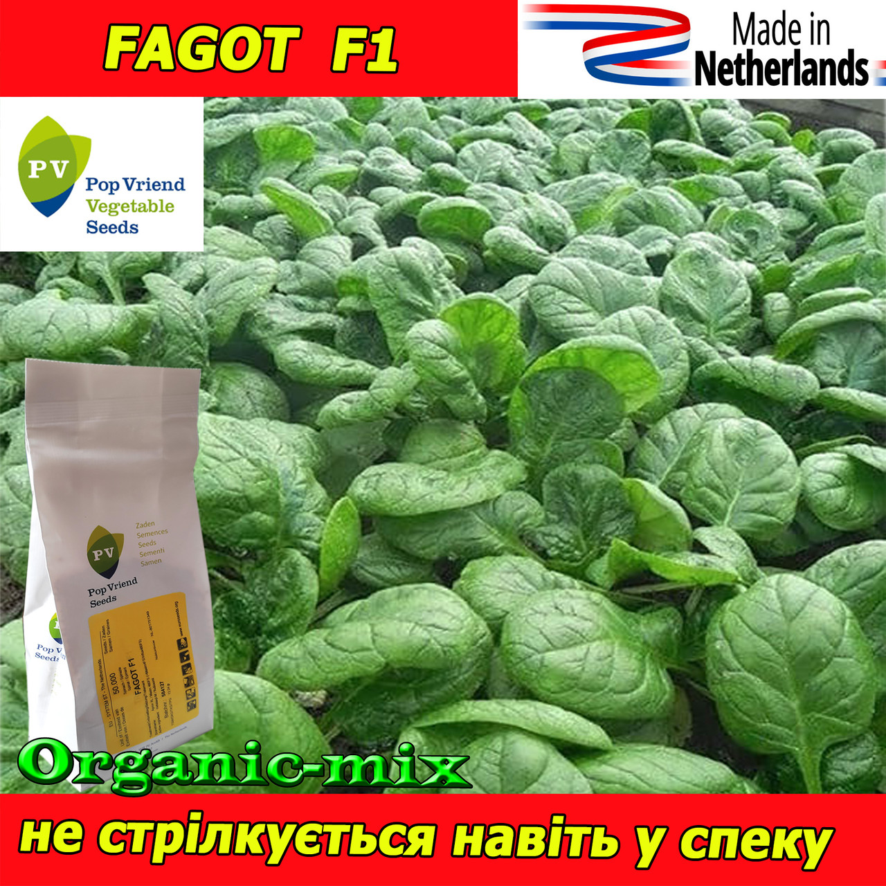 Насіння, шпинат ФАГОТ F1 / FAGOT F1 (50 000 насіння), Pop Vriend Seeds (Нідерланди)