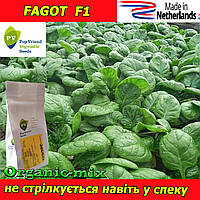 Насіння, шпинат ФАГОТ F1 / FAGOT F1 (50 000 насіння), Pop Vriend Seeds (Нідерланди)