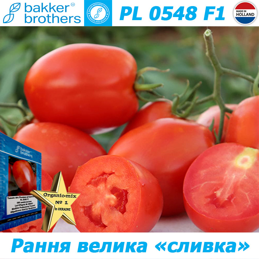 Насіння, томат ранній PL 0548 F1 BAKKER BROTHERS (Нідерланди), паковання 500 насіння