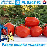 Насіння, томат ранній PL 0548 F1 BAKKER BROTHERS (Нідерланди), паковання 500 насіння, фото 2