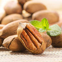 Саджанці горіха пекана Буссерон (Busseron) 3-х річний - урожайний, зимостійкий, невибагливий