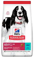 Hill's Science Plan Adult Medium Tuna & Rice з тунцем та рисом для собак середніх порід 12 кг