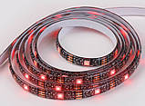 Стрічка світлодіодна LED RGB HOCO DL30 з пультом 4м, чорна, фото 4