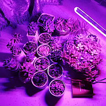 Світильник для рослин, AQUAXER Led Grow Light, 18 Вт., фото 4
