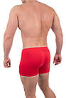 Боксери чоловічі бавовняні BONO (Арт: 950122) р.50 червоні 30033859, фото 7