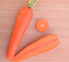 АБАКО F1 — насіння моркви Шантане (1,8-2,0) 1 000 000 насіння, Semenis