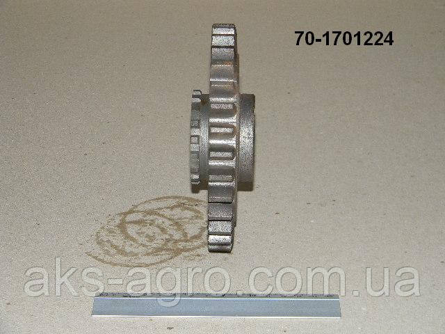 Шестірня МТЗ-80 70-1701224