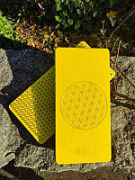 Доска Садху Zen Sadhu с гвоздями для йогов 30х15 см Солнечный Желтый