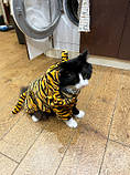 Тигровий костюм для тварин (розмір М) RESTEQ. Костюм тигра для собак. Костюм тигра для кота. Флісовий костюм для тварин, фото 5