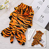 Тигровий костюм для тварин (розмір М) RESTEQ. Костюм тигра для собак. Костюм тигра для кота. Флісовий костюм для тварин, фото 3