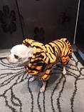 Костюм тигра для тварин (розмір L) RESTEQ. Тигровий костюм для собаки. Костюм для кішки. Флісовий костюм для тварин, фото 4