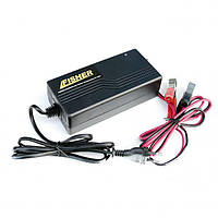 Зарядний пристрій для гелевих акумуляторів FISHER 30-100AH