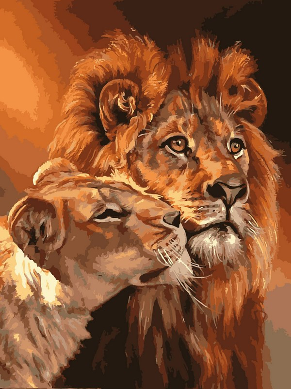 VK033 Розмальовка за номерами Царственна пара