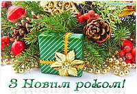 З Новим Роком та Різдвом Христовим!