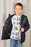 Куртка дитяча для хлопчика демісезонна темно-синя Pleses, трикотажний капюшон, розміри 128-152, фото 2