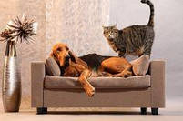 Дивани для собак на замовлення, дивани для собак під замовлення, меблі для тварин під замовлення, фото 7