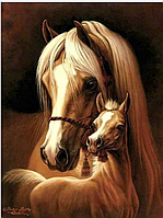 Картина по номерам "Лошадь с жеребенком". Размер картины 40*50 см.