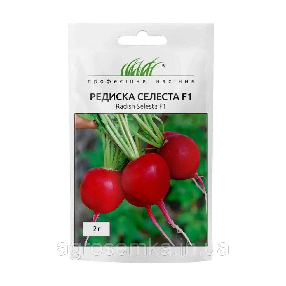 Насіння Редис Селеста F1 2г / Enza Zaden, фото 1