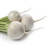 Насіння Редис Вайт меджик 200шт /Anseme, фото 2